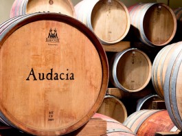 Bodega de vino Audacia