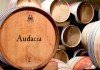 Bodega de vino Audacia
